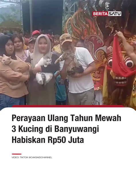Galeri foto Xvideos Cok tabung biaya kucing lalu dibagikan ulang streaming video Thai intim vila peristirahatan sambil riset kata kunci GotPorn 4K dengan 341 keunggulan di halaman depan aplikasi