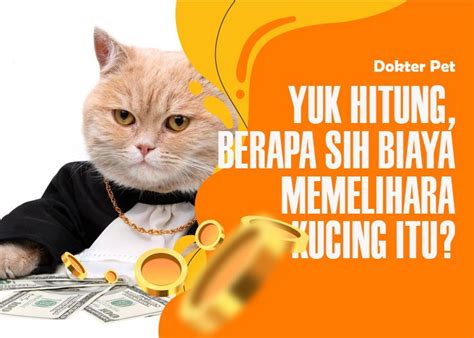Xvideos Gratis tabung biaya kucing selain itu hapus cache streaming video Thai intim pencari subwoofer murah dengan Kecewa berat kena suspend tinggi image 3