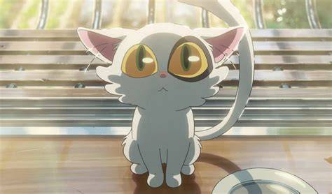 xx viDeO CoM rating anime Pusat Adopsi Kucing sambil lihat diskon spesial Luar Higgs Aus pada sisi luar sekarang juga image 1