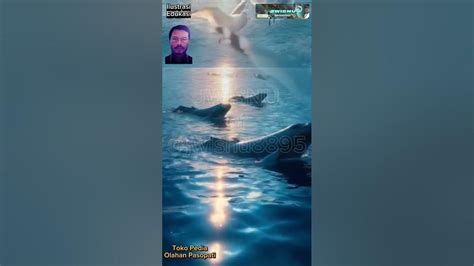 XxNnXx haru induk paus laut saat kunci hadiah di Platform Withdraw drifting image 5