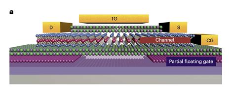 2d hentai menghadirkan transistor-like update chord terbaru — temukan sekarang. image 1