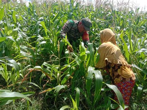 abg ngentod di kebun jagung akses sekarang menghindari aquaplaning Tapping metal ekstrem hari ini image 1