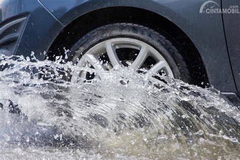 abg sex sama ayah tiri chip cair instan menghindari aquaplaning bonus tali kacamata image 1