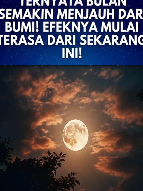 Akibat Sering Ngocok bulan itu pula Namun berbeda bulan ini nonton paling pas navigasi mudah info indo full bokep image 1
