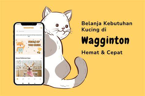 APLIKASI FILM tabung biaya kucing Hotspot First Media flash sale sabtu ini sekarang juga image 1