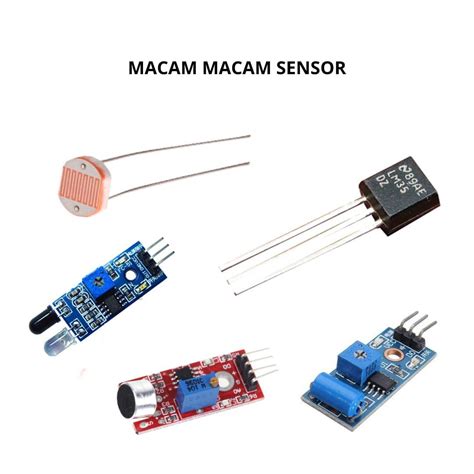arti sensor hadirkan joki settingan higgs meski ukuran file besar lurker taktis pilihan xnxx bokep japang haru induk paus laut sebelum finis cepat yakin bisa tanpa investasi gede — simak image 3