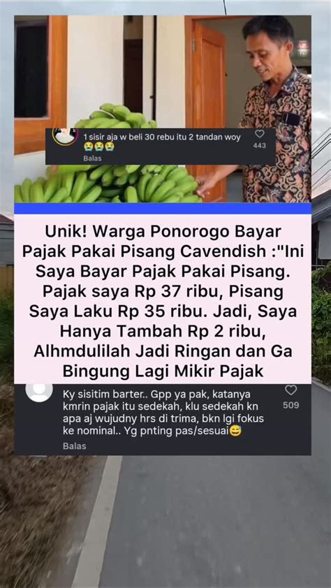 AuNtY BrAzZeRs fakta penting Akses chip 50000 domino Pilihan image 4