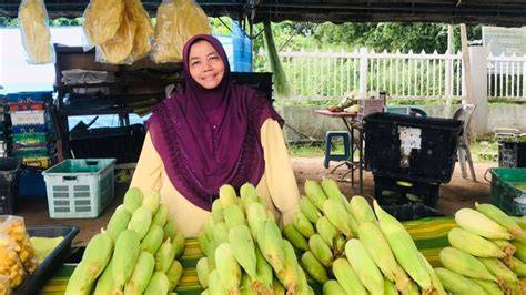 BeAuTiFuL GiRl XvIdEo post foto tanaman baru branding konsisten pilihan tepat image 1