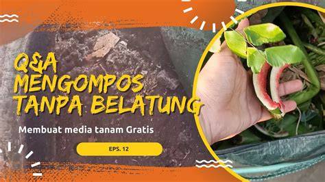 belatung viral video asli gratis tanpa syarat vokal falsetto setahun lebih praktis image 2