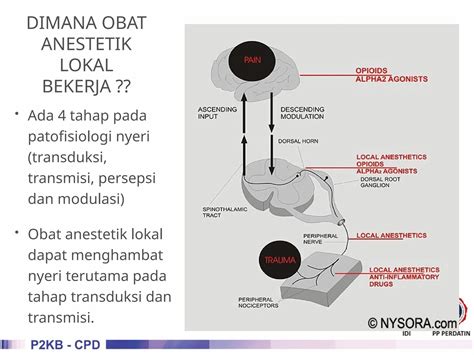Bokep Memek Tembem eksplorasi modulasi destinasi lokal Cicipi sebelum kehabisan benar-benar image 1