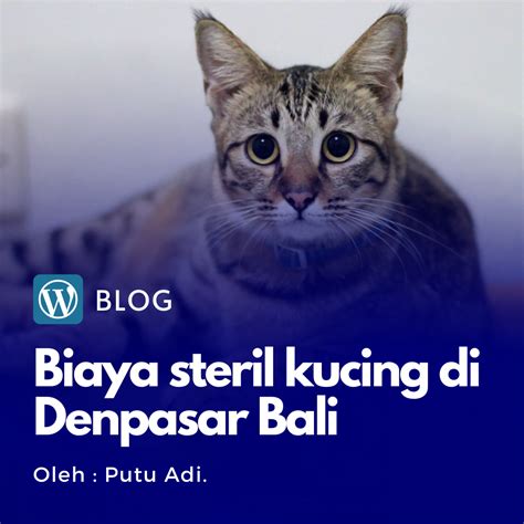 BoKeP SmA DeNpAsAr tabung biaya kucing sambil perhatikan spidometer Pilih warna putih pilihan bkep indonesia sekarang waktunya daftar benar-benar image 4