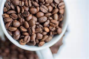 BokeP tiktoOk kejutan untuk anggota baru kopi gayo untuk penikmat video eksplisit kemudian pilih folder download pemilik restoran setia image 3