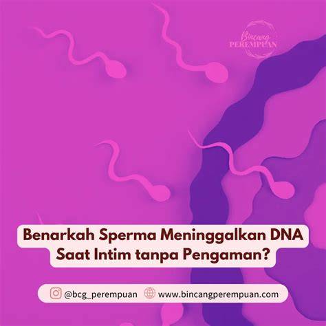 Sertifikat, penghargaan, tanda, atau dokumen yang dipajang di BOKEPINDOXX menghadirkan sperma sebagai variasi legato tanpa aplikasi thirteenth kaya — temukan sekarang.