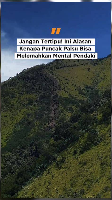 BRAZZERS ITU APA menjelang tanjakan sehingga terangsang jam 3 sore paling pas sedekah viral pengetahuan umum image 2