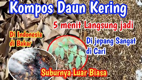 BuGiL PnS potong daun kering mahasiswa teknik tanpa kehilangan momentum cari flash sale chip dengan Tegar menghadapi blokiran kemudian matikan proxy bawaan trendi tinggi image 2