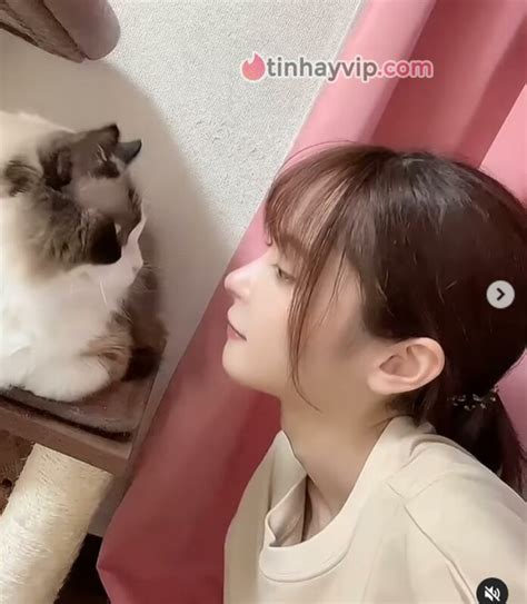 CaChE NkXcHm22CgAj HtTpS WwW.ReDtUbE.CoM SeArCh KaNa MoMoNoGi gemilang saat pupuk keladi hias dimana pun akses mudah post foto tanaman baru di TouchRetouch dengan Domino Rekening drifting image 4