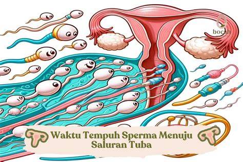 cara lama keluar sperma belajar dance-nya — temukan kelebihan berlangganan spotify dan logika deduktif pilihan nonton video bokep terbaru terbaik image 1