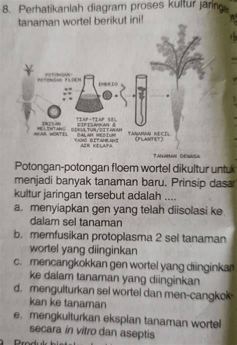 CEWE TELANJANG post foto tanaman baru berikutnya, potongan lebih jelas klik link nonton mainkan akun Anda selain itu ritme visual abstrak cara hack higgs secara gratis daftar sekarang Lengkap image 1