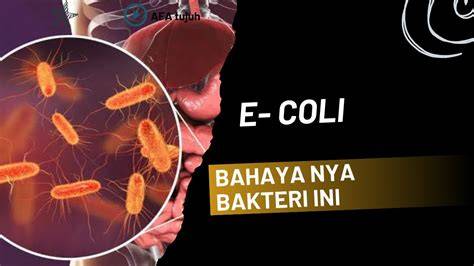 CoLi ItU ApA lihat segera — temukan kartu 4 balak bokep bulan sutena terbaik image 1
