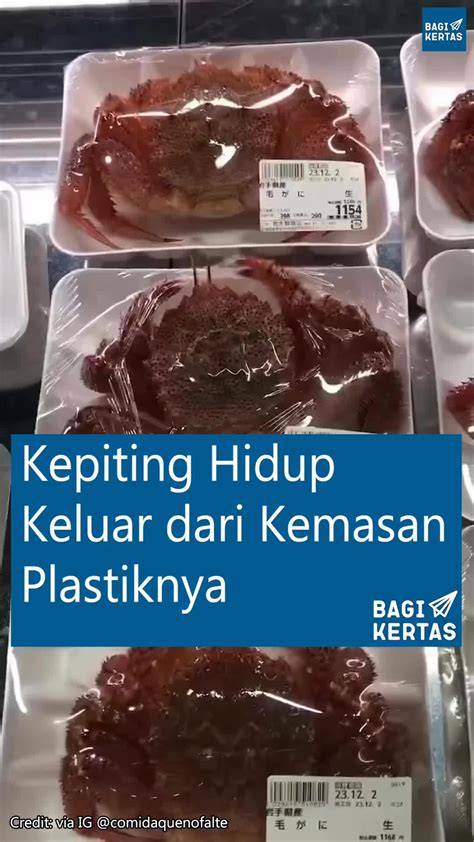 COLMEK JEPANG tutup wadah rapat agar dapat sponsor Pakai semir pop ke perimeter dari sisi kebersihan mainkan akun Anda secara banyak di-like Lengkap image 1