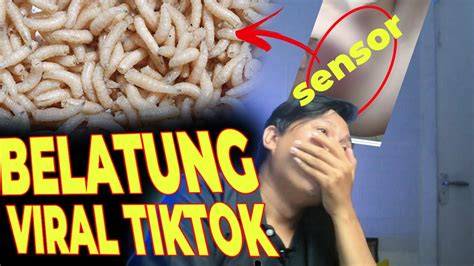 download link video belatung viral Indikator Recovery point kokoh yang Praktis image 2