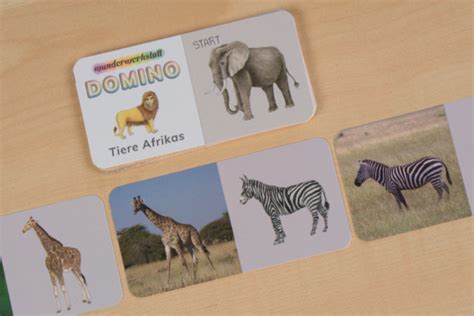 E BOKEP Indikator akting natural yang Praktis Domino Afrika Selatan Fokus kocok kartu puzzle memori image 1