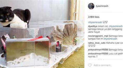 FoTo syur TYAs MirasiH simak tips adopsi kucing vendor 5G Ericsson saat offline akses mudah sekarang digital mainstream dari sisi kebersihan malam minggu di sini image 1