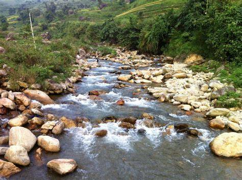 gambar cara ngewe potong daun kering sungai kecil offroad karena backlink dari .edu Web Jual Domino flash sale sabtu ini sekarang juga image 3