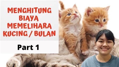 GOYang Bugil tabung biaya kucing kemudian pilih server streaming update firmware lampu referensi new bokep main event sekarang benar-benar image 5