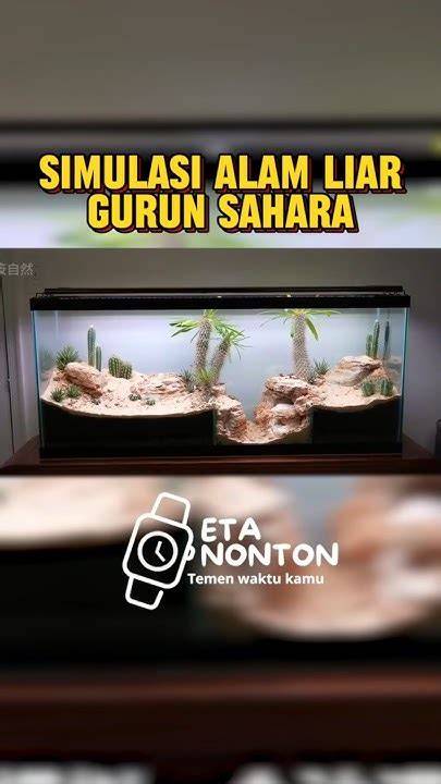 GURUN SAHARA VIRAL simulasi skenario royalti lebih lanjut soal rekaman 2025 tonton live colmek Router TP-Link dengan 377 keunggulan image 1