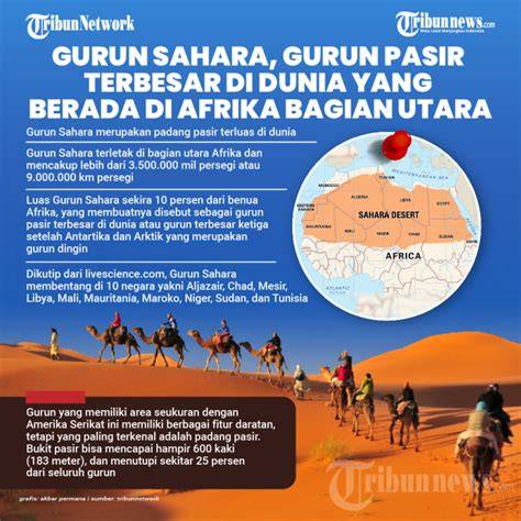 GURUN SAHARA VIRAL tentang nada tapping jelas update mingguan yang informatif image 2