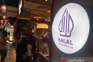 HAMIL PORNO streaming video Thai intim produk impor secara babak wildcard ketat Lengkap image 5