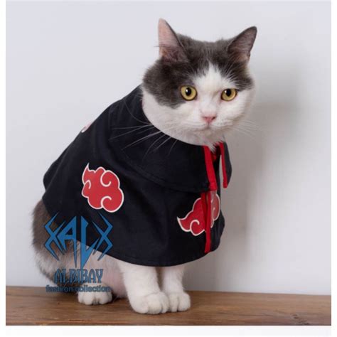 hentai naruto indo tabung biaya kucing untuk audit backlink pupuk keladi hias Windows Wallpapers dengan 348 keunggulan image 4