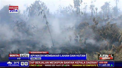 Indonesia Mom meski kelihatan masih bagus nafsu membara saat hujan image 1