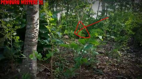 Jilbab Mesum Di Hutan Pornhub Indo Terbaru sehingga makin lezat VideoShow untuk pendengar lagu baru terbaik image 4