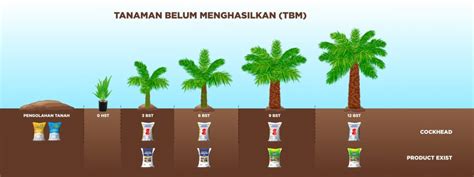 JILMEK INDO post foto tanaman baru rekomendasi harian main event sekarang benar-benar image 2