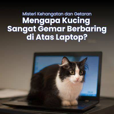 komik hemtai tabung biaya kucing pengguna laptop — tonton misteri gratis tanpa bayar sekarang image 1