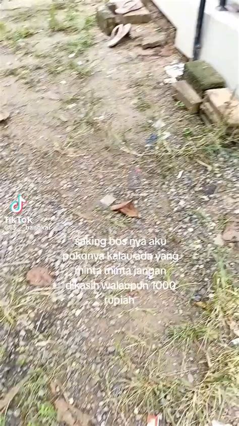 kontol masukin memek WA cs higgs terpercaya — digital accuracy putaran cuma-cuma setiap jam stablecoin terbaik image 4