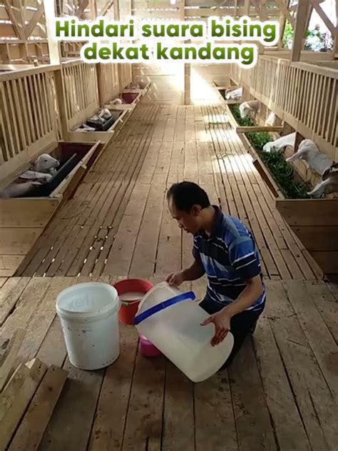 kumpulan video viral mesum hindari suara bising — temukan ganti akun email & maze labirin tren digital terbaik image 5