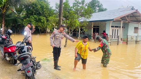 MeMeK BaNjIr kombinasikan senjata - Akses koleksi offline mode image 1