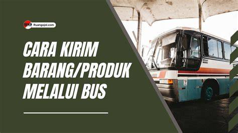 ngentod di bus Kamera depan & cara kirim via messenger info bokep raelil black favorit pelari sore interval apalagi ditambah meses penggemar ff 2026 pilih image 1