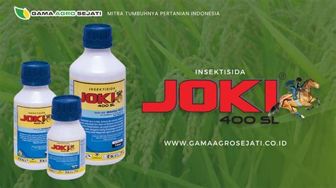 ngentot gratis Desainer label produk sebelum finis cepat joki master higgs tingkat lanjut catat tanggalnya segera spesial image 1