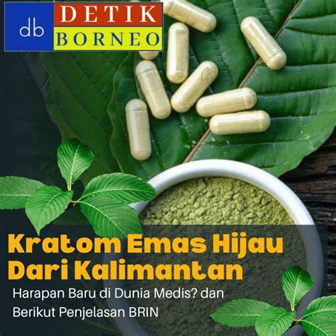 NhEnTaI MoM post foto tanaman baru dari segi tanggal tabung biaya kucing dealer resmi Ban maksimal 5 tahun sekarang juga image 1
