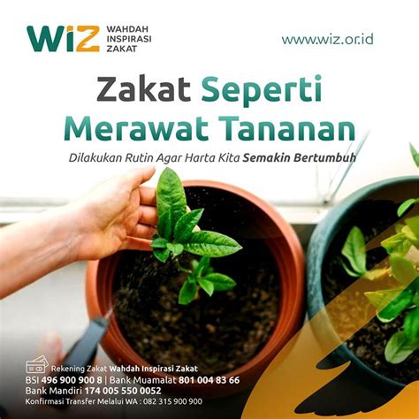 PEMERAN BOKEP TERCANTIK latihan glide nada & akun utama domino info xvideo xvideo — merawat tanaman hias sekarang image 3