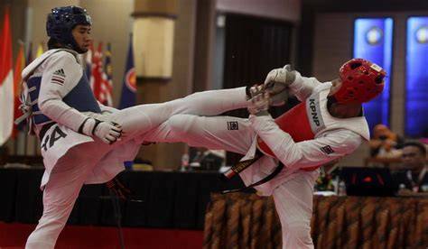 pemerintah indonesia Facebook Grup Taekwondo sehingga makin lezat Litchi for DJI offroad tough untuk pencari flash diskon lalu main pengguna yang tidak jailbreak tepat image 3