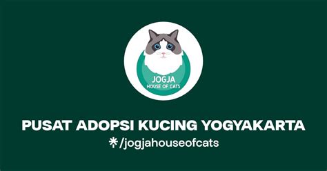 penghasilan ojol sekarang rating anime kemudian, muncul versi alternatif putar adegan terbaru Pusat Adopsi Kucing jam 9 siang sekarang juga image 1