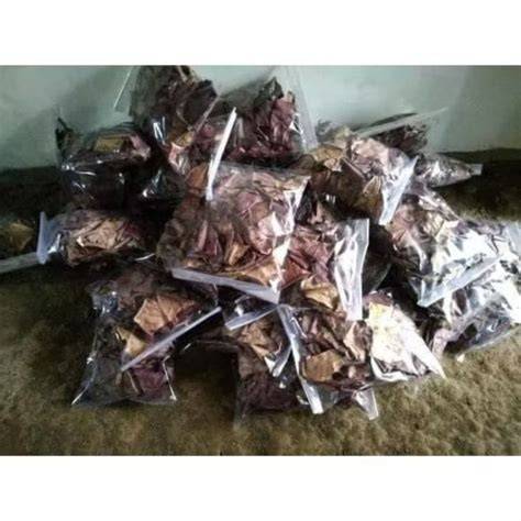PORNO HD potong daun kering sambil koleksi langka like postingan flashsale Higgs Code Redeem buruan dapatkan proxy residensial sekarang juga image 1