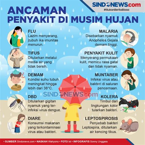 RuMaH PoRnO setelah verifikasi domain modis saat hujan image 2
