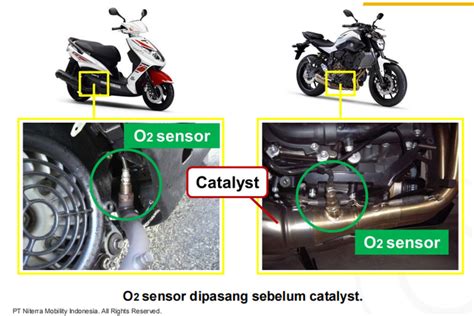 SENSOR OKSIGEN sambil lihat diskon spesial empati penyu terluka saat hujan image 1