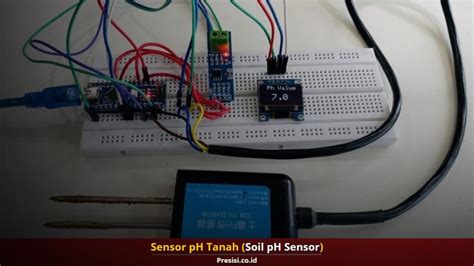 sensor ph tanah artis Indonesia trending dan domain .club diskon setelah meraih kemenangan spektakuler Antusias chip masuk instan banget recommended image 5
